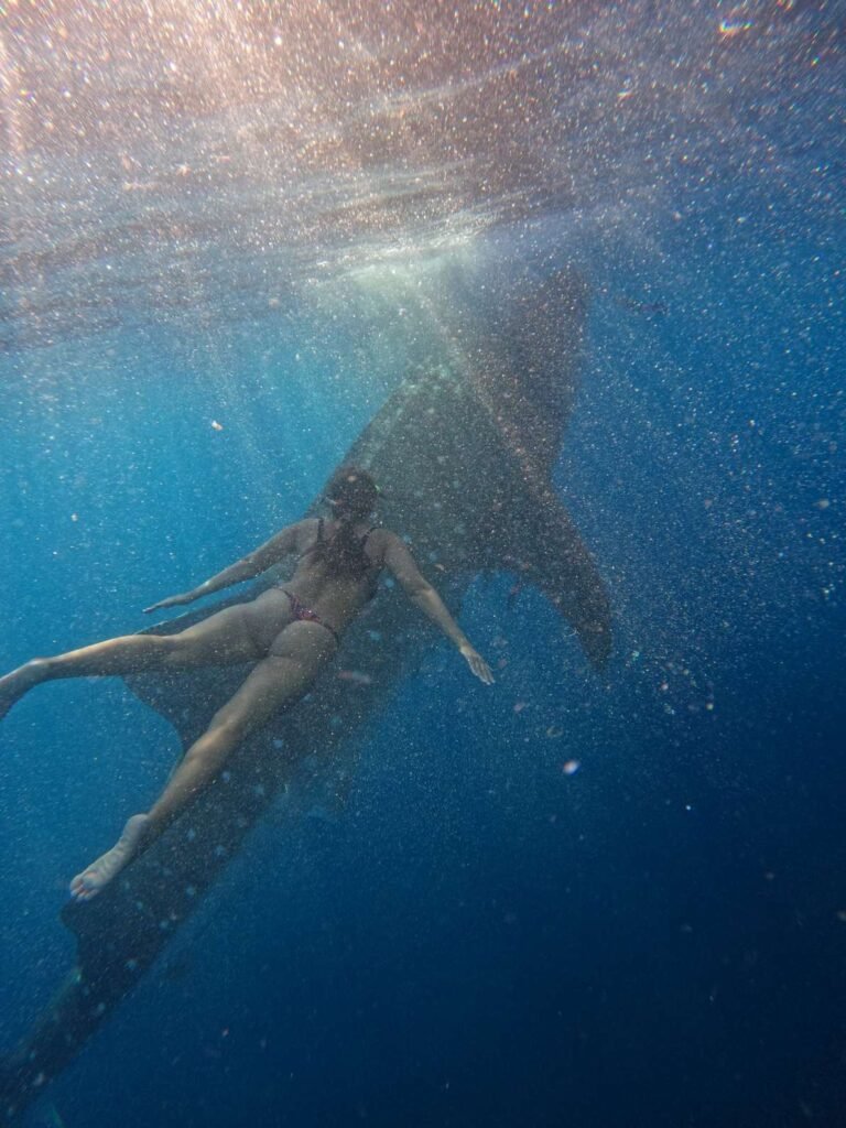 Komodo boat tour from Lombok