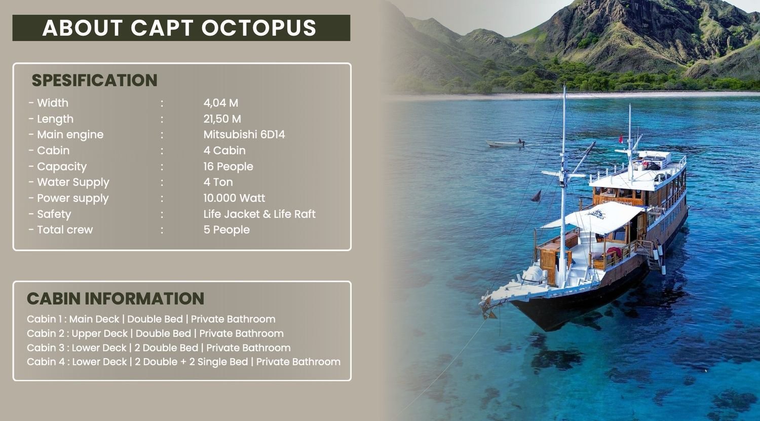 octopus Spesifictation