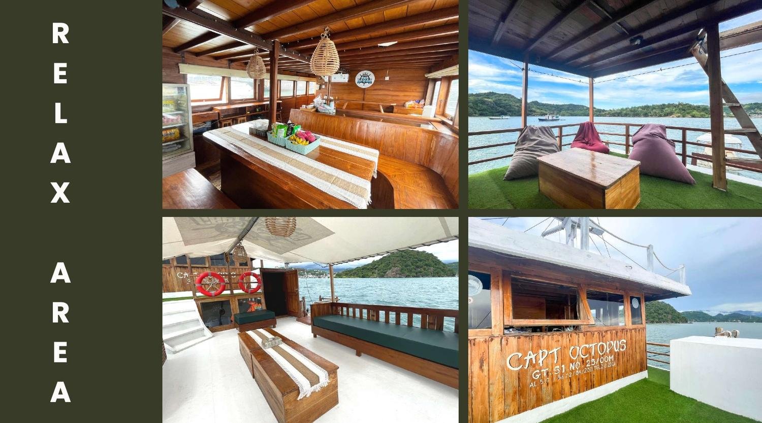 Octopus Cruise