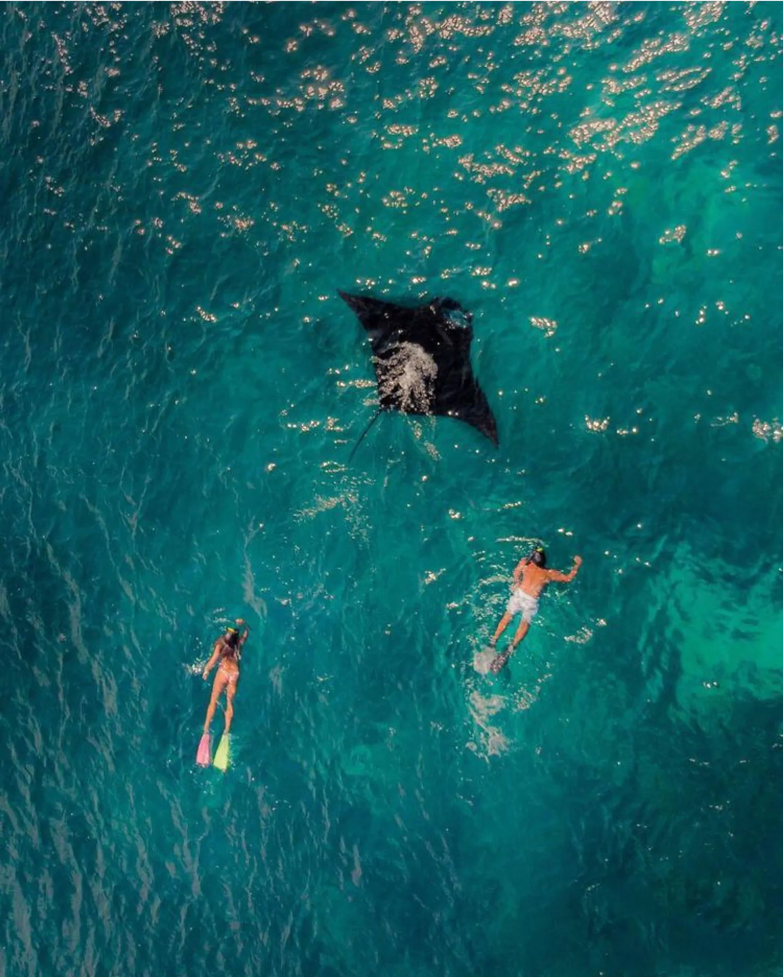 Manta Point