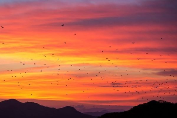 Kalong Island Kalong Island