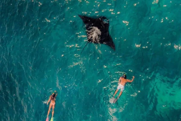 Manta Point Manta Point